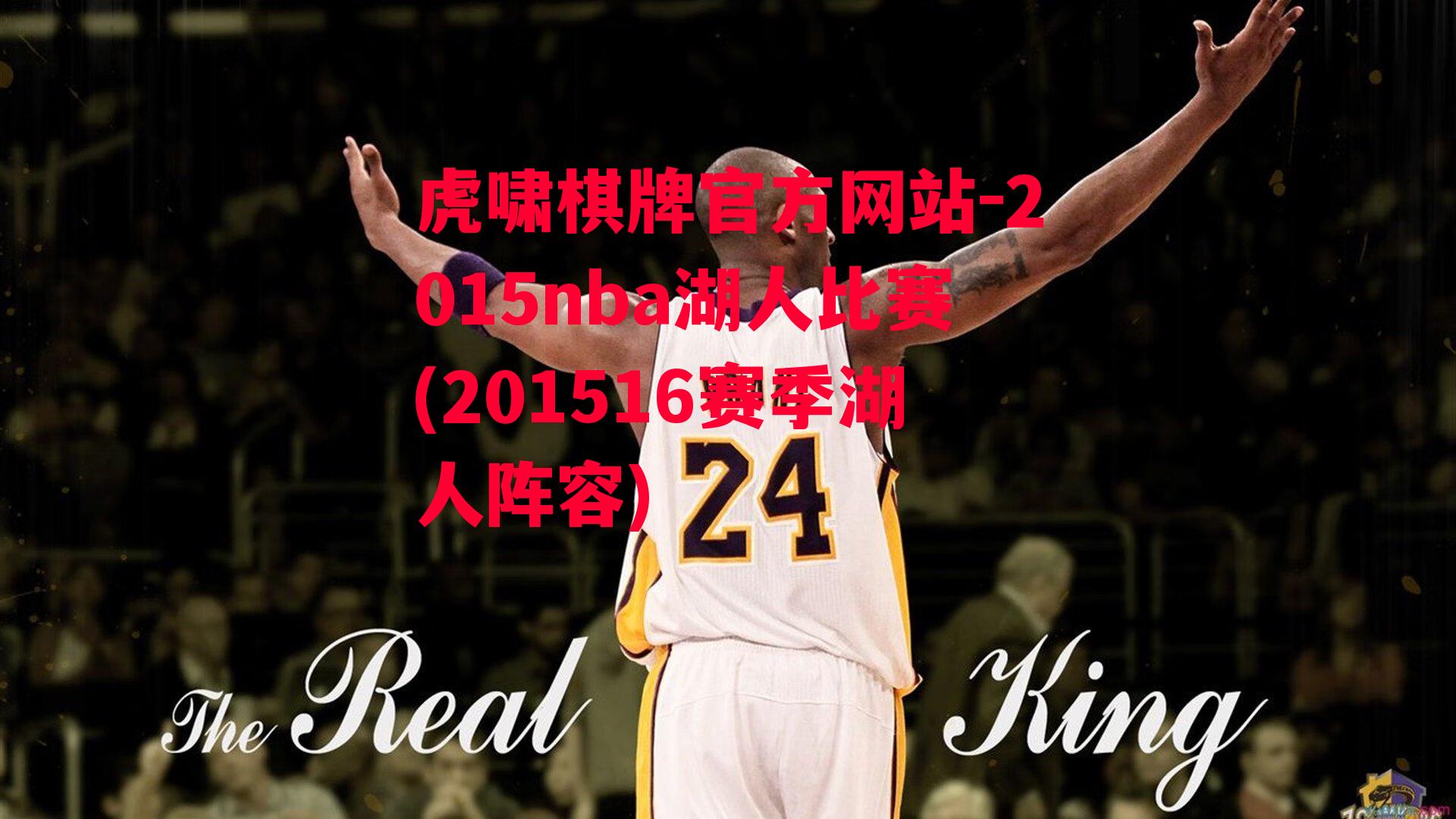 2015nba湖人比赛(201516赛季湖人阵容)