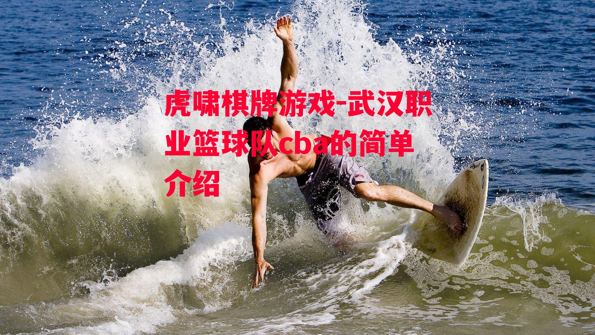 武汉职业篮球队cba的简单介绍